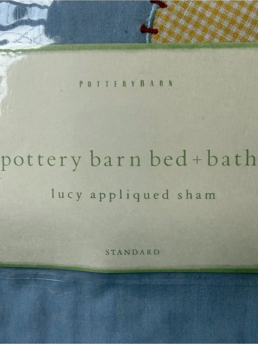 Pottery Barn Lucy Appliqued Standard Pillow Shams Blue Cotton Set of 2 New